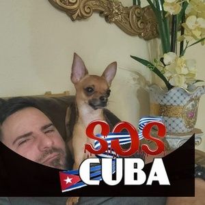 Meet your Posher, Yaisel